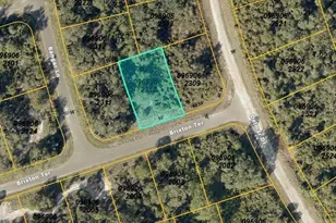 Brixton Terrace, North Port, FL 34291 - Photo 1