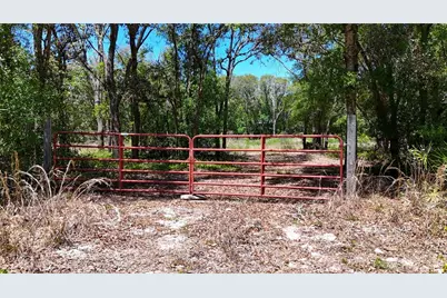 34281 Umbrella Rock Drive, Webster, FL 33597 - Photo 1