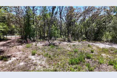 34281 Umbrella Rock Drive, Webster, FL 33597 - Photo 10