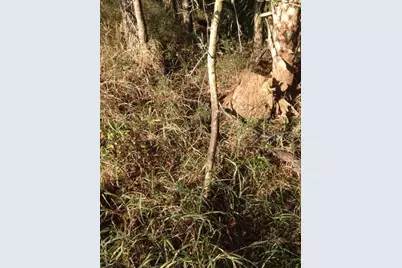 1901 Graham Road, Punta Gorda, FL 33982 - Photo 22