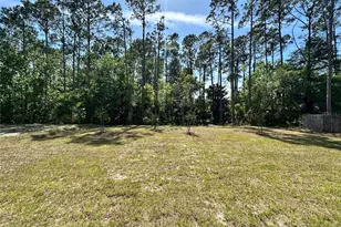 45 Braddock Ln, Palm Coast, FL 32137 - Photo 14