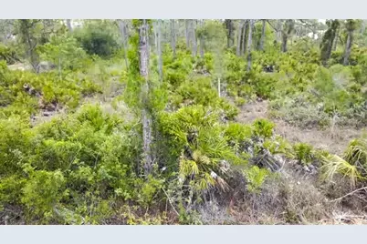 27445 Chrysalis Drive, Punta Gorda, FL 33955 - Photo 4