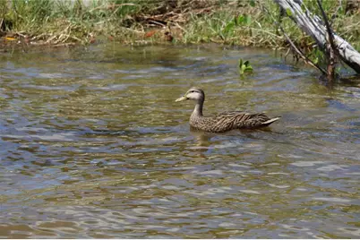 4150 Enclave Place, Punta Gorda, FL 33980 - Photo 34