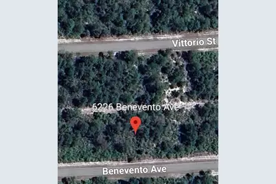 6226 Benevento Avenue, Sebring, FL 33872 - Photo 2