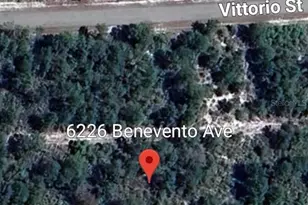 6226 Benevento Ave, Sebring, FL 33872 - Photo 2