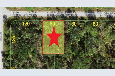 14221 & 14229 Dunlap Avenue, Port Charlotte, FL 33953 - Photo 1