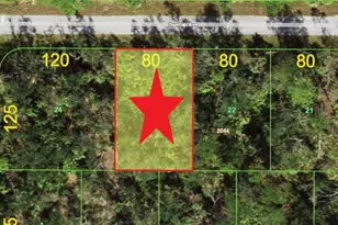 14221 & 14229 Dunlap Ave, Port Charlotte, FL 33953 - Photo 1