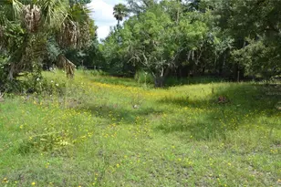 0 SE Hwy 31, Arcadia, FL 34266 - Photo 38