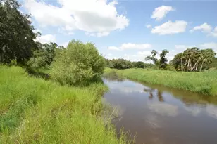 0 SE Hwy 31, Arcadia, FL 34266 - Photo 34