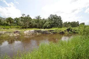 0 SE Hwy 31, Arcadia, FL 34266 - Photo 32