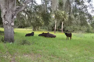0 SE Hwy 31, Arcadia, FL 34266 - Photo 28