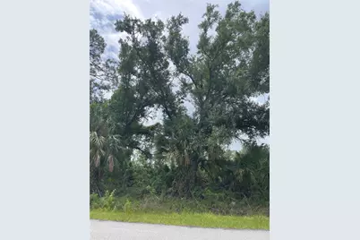 Bellafonte Avenue, North Port, FL 34286 - Photo 4