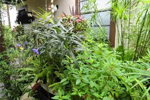 4022 Beaver Ln, Port Charlotte, FL 33952 - Photo 56