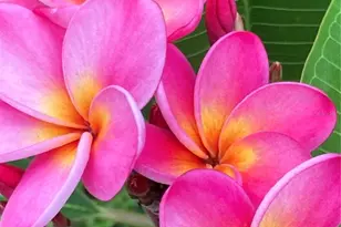 232 Darst Ave, Punta Gorda, FL 33950 - Photo 94