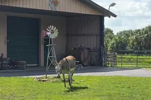 43451 & 43631 Farabee Rd, Punta Gorda, FL 33982 - Photo 26