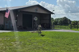 43451 & 43631 Farabee Rd, Punta Gorda, FL 33982 - Photo 34