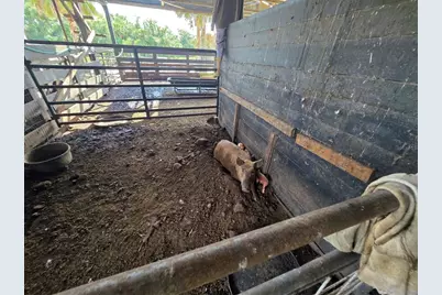 43451 & 43631 Farabee Road, Punta Gorda, FL 33982 - Photo 38