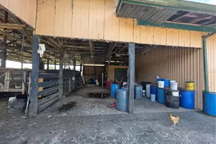 43451 & 43631 Farabee Rd, Punta Gorda, FL 33982 - Photo 32