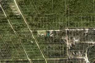 711 Hickory Nut Trail, Satsuma, FL 32189 - Photo 1