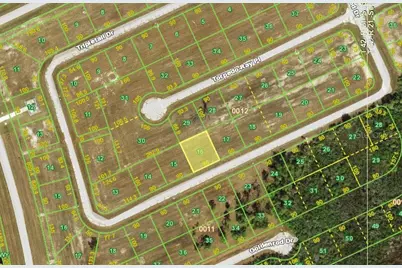 12414 Tripletail Drive, Placida, FL 33946 - Photo 1