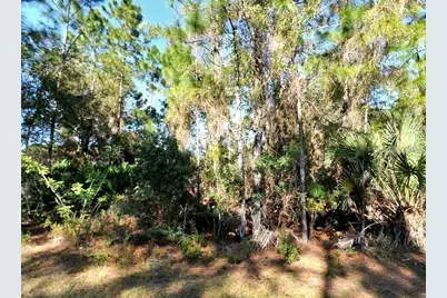 Larrimore Avenue, North Port, FL 34291 - Photo 4