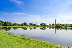 333 Cipriani Way, North Venice, FL 34275 - Photo 42