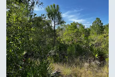 50204 Bermont Road, Punta Gorda, FL 33982 - Photo 12