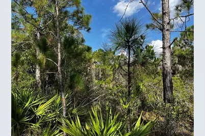 50204 Bermont Road, Punta Gorda, FL 33982 - Photo 48