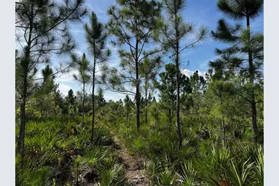 50204 Bermont Road, Punta Gorda, FL 33982 - Photo 26