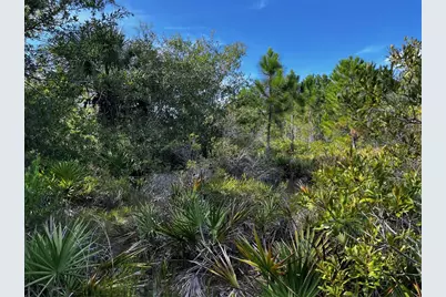 50204 Bermont Road, Punta Gorda, FL 33982 - Photo 18