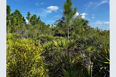 50204 Bermont Road, Punta Gorda, FL 33982 - Photo 22