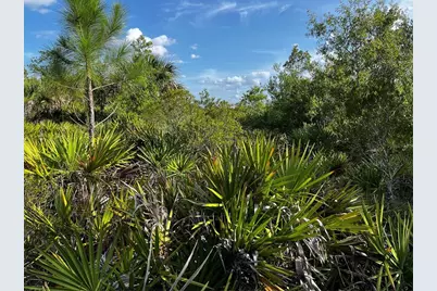 50204 Bermont Road, Punta Gorda, FL 33982 - Photo 20