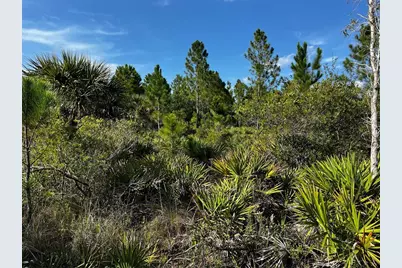 50204 Bermont Road, Punta Gorda, FL 33982 - Photo 24