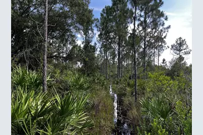 50204 Bermont Road, Punta Gorda, FL 33982 - Photo 50