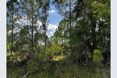 50204 Bermont Road, Punta Gorda, FL 33982 - Photo 46