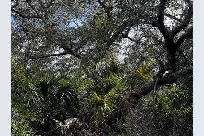 50204 Bermont Road, Punta Gorda, FL 33982 - Photo 44