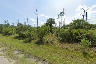 Lot 16 Fireglow Circle, North Port, FL 34288 - Photo 1