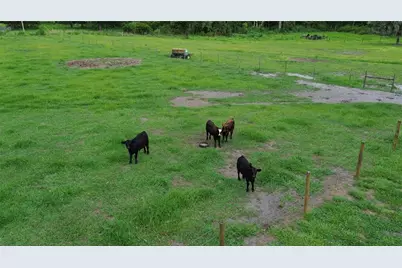 7211 SW Grove Drive, Arcadia, FL 34266 - Photo 10