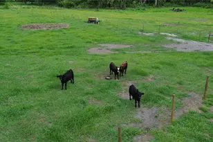 7211 SW Grove Dr, Arcadia, FL 34266 - Photo 10