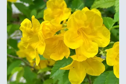 580 Fairmount Drive, North Port, FL 34287 - Photo 42