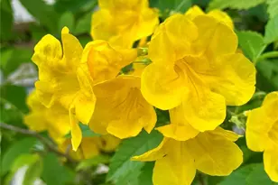 580 Fairmount Dr, North Port, FL 34287 - Photo 42