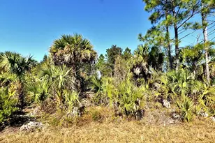 Fiveleaf Rd, North Port, FL 34288 - Photo 1