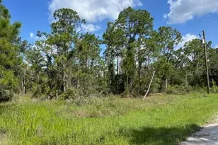 13042 Apache Dr, Punta Gorda, FL 33955 - Photo 1