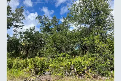 163 Hardee Way, Rotonda West, FL 33947 - Photo 2