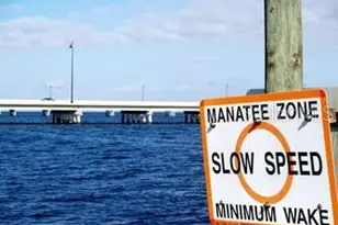 257 Chasteen St, Punta Gorda, FL 33950 - Photo 12