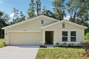 11288 Elgin Blvd, Spring Hill, FL 34608 - Photo 1