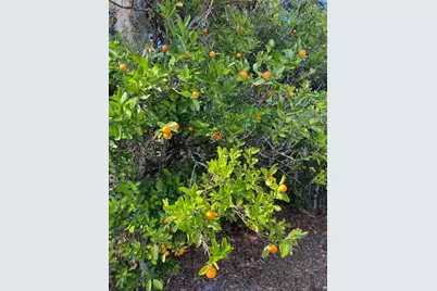 1124 Salina Avenue, Port Charlotte, FL 33948 - Photo 30