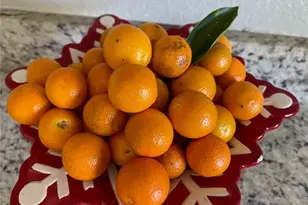 1124 Salina Ave, Port Charlotte, FL 33948 - Photo 8