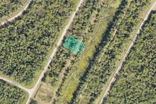 Lot 2 Silverleaf Rd, North Port, FL 34288 - Photo 1