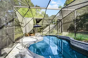 4703 Meadowland Dr, Mount Dora, FL 32757 - Photo 24